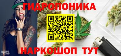 бошки Будённовск