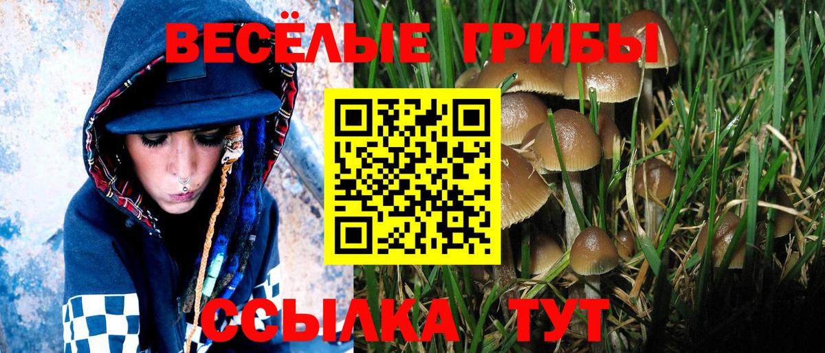 Галлюциногенные грибы GOLDEN TEACHER  Вход с VPN  Псилоцибиновые грибы Psilocybe  Партизанск 
